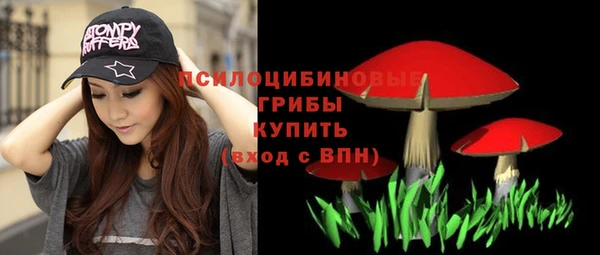 дживик Армянск