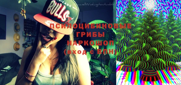 гидропоника Аркадак