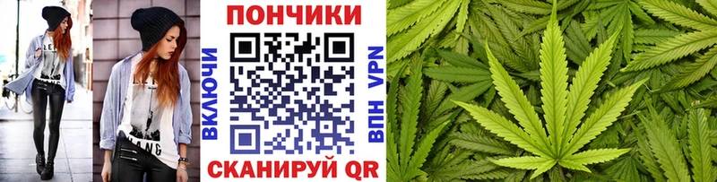 где найти   Рошаль  Бошки Шишки семена 